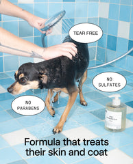 Mini Pet Shampoo 01 "Taunt"